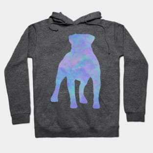 Rainbow Pastel American Bulldog Hoodie